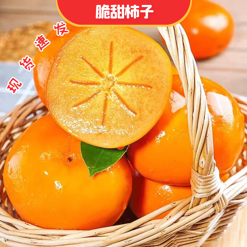 山西阳丰脆柿子产地直发150+大果带箱五斤
