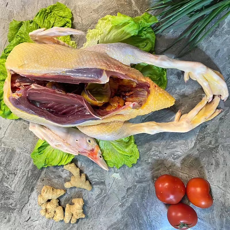 福建南平乡下散养玉米白毛全番鸭公食用新鸭一只净重6斤