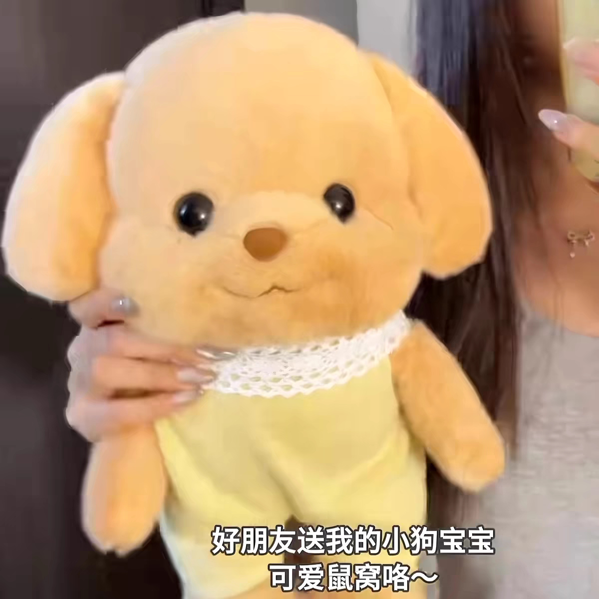 可爱贵宾犬玩偶毛绒玩具小鼻嘎生日礼物