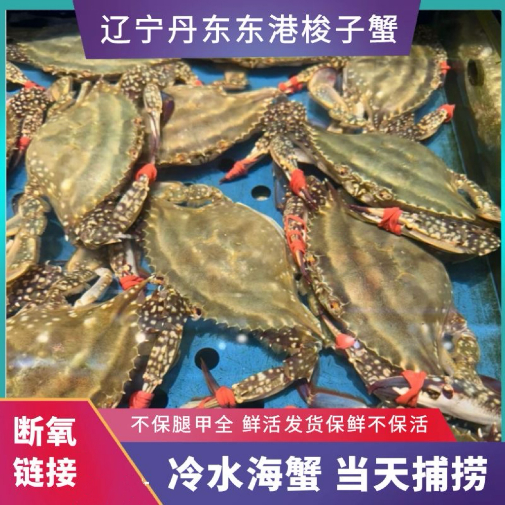 m断氧蟹 一斤4只左右2两左右 2-3斤装 【保鲜不保活】不保腿甲全