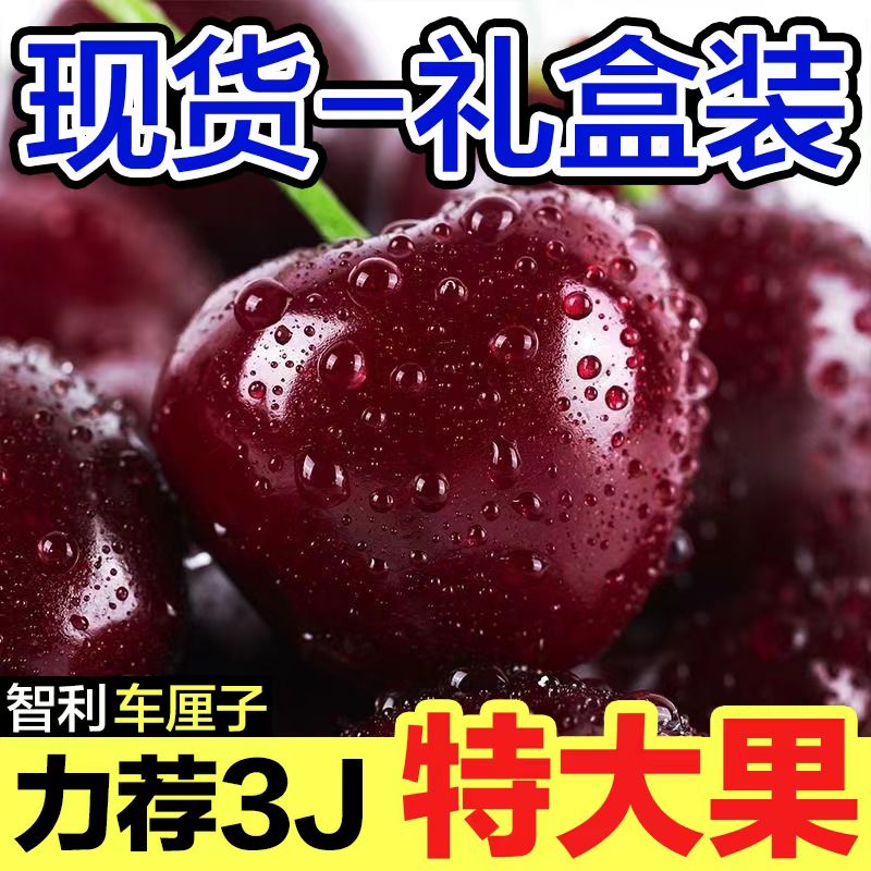 【3JD瑞吉娜】智利车厘子5斤装