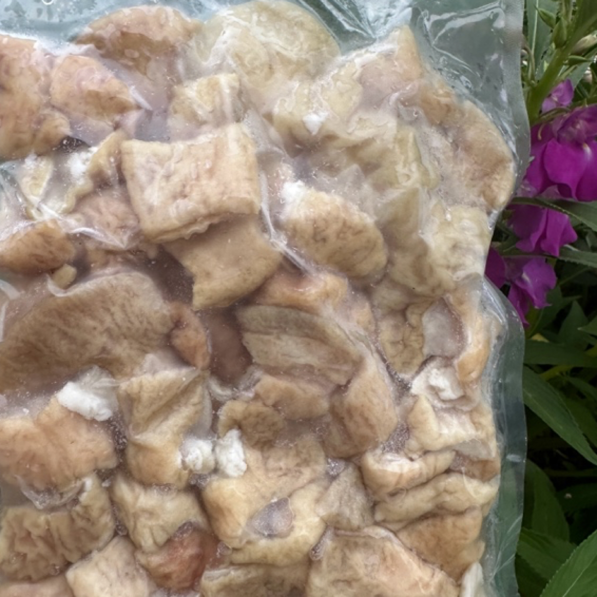 【女硕士推荐】跑山猪大肠