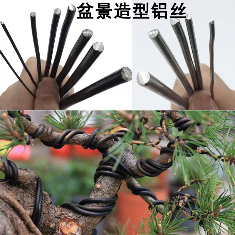 铝丝 盆景造型专用 蟠扎 试用/新手套餐