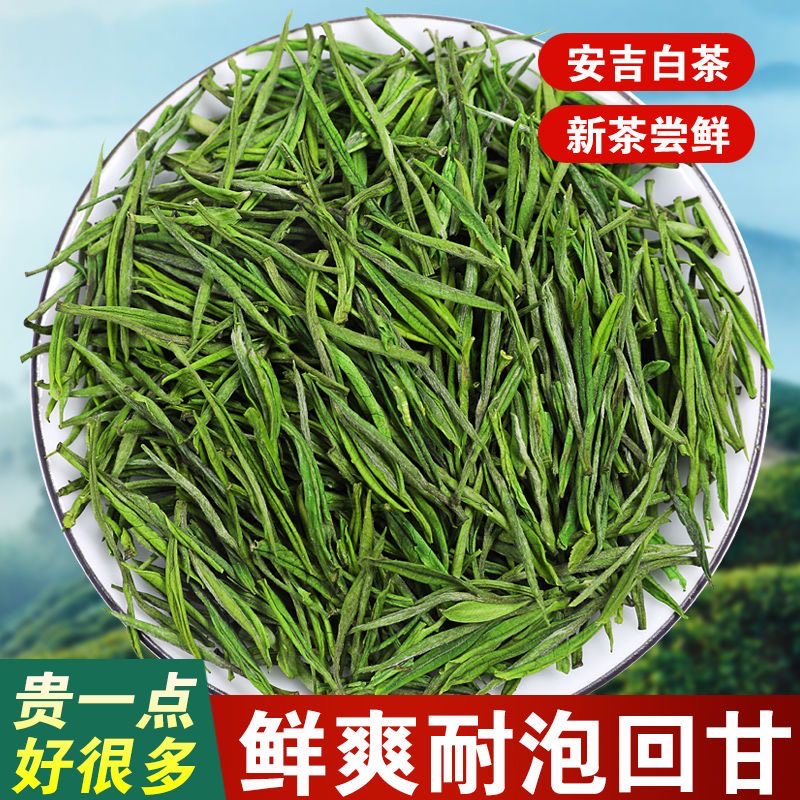 【不好喝退全款】2023年新茶春茶高山白茶高山高白化兰花香口持久