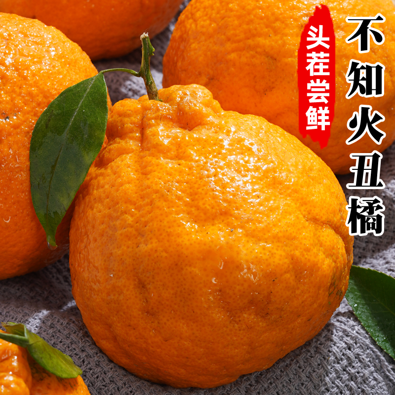 正宗四川不知火丑橘丑柑新鲜水果当季整箱1-8斤橘子春见耙耙柑