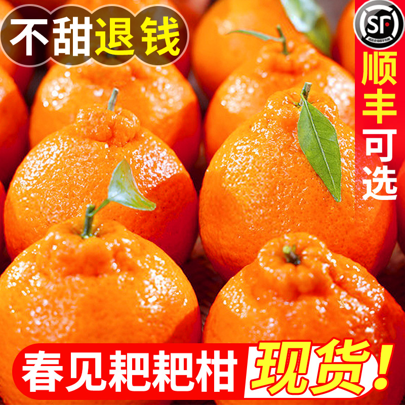 四川春见耙耙柑现摘新鲜应季孕妇水果1-8斤橘子桔子柑橘大拇指