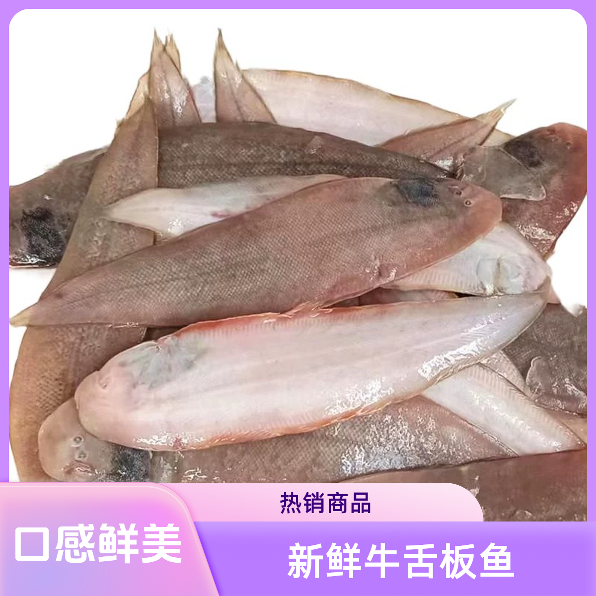 中秋送礼大连龙利鱼（6条鱼4.2斤）比目鱼舌头鱼踏板鱼生鲜鳎目鱼