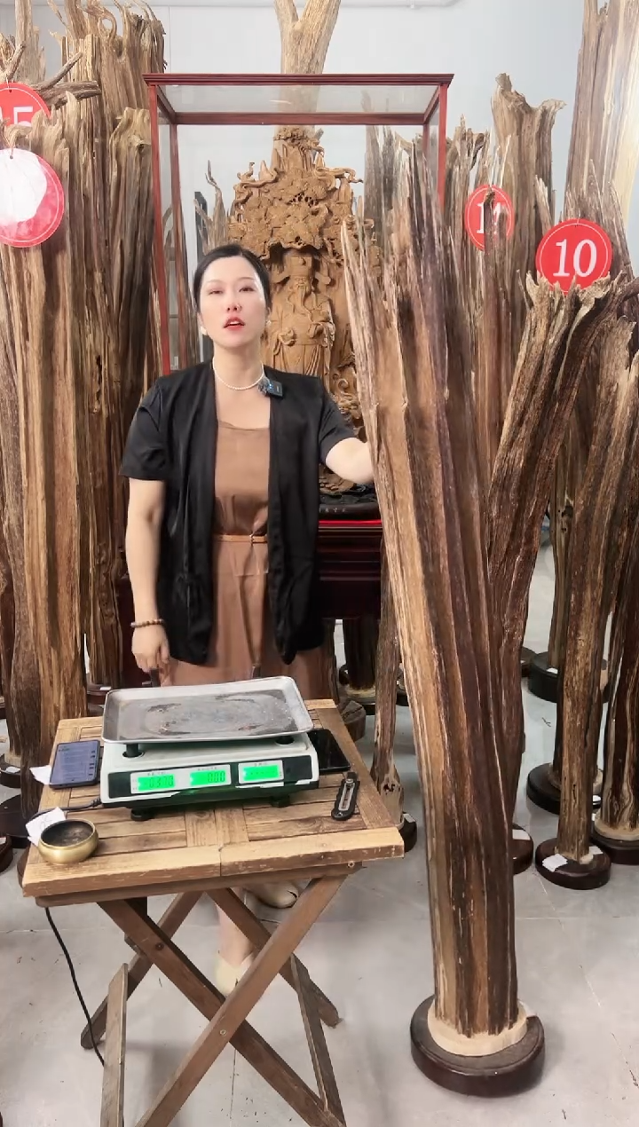 【闪购商品】沉香摆件沉香摆件+底座A23