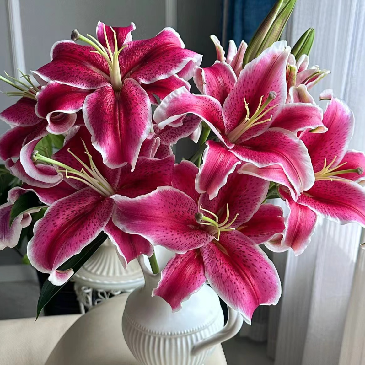 【大小王】黑美人 单瓣百合 两单顺丰冷链 一单普通快递 