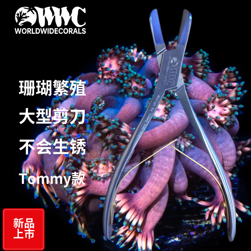 美国WWC TOMMY设计剪刀（平口）防锈 18cm大珊瑚钳不锈钢材质