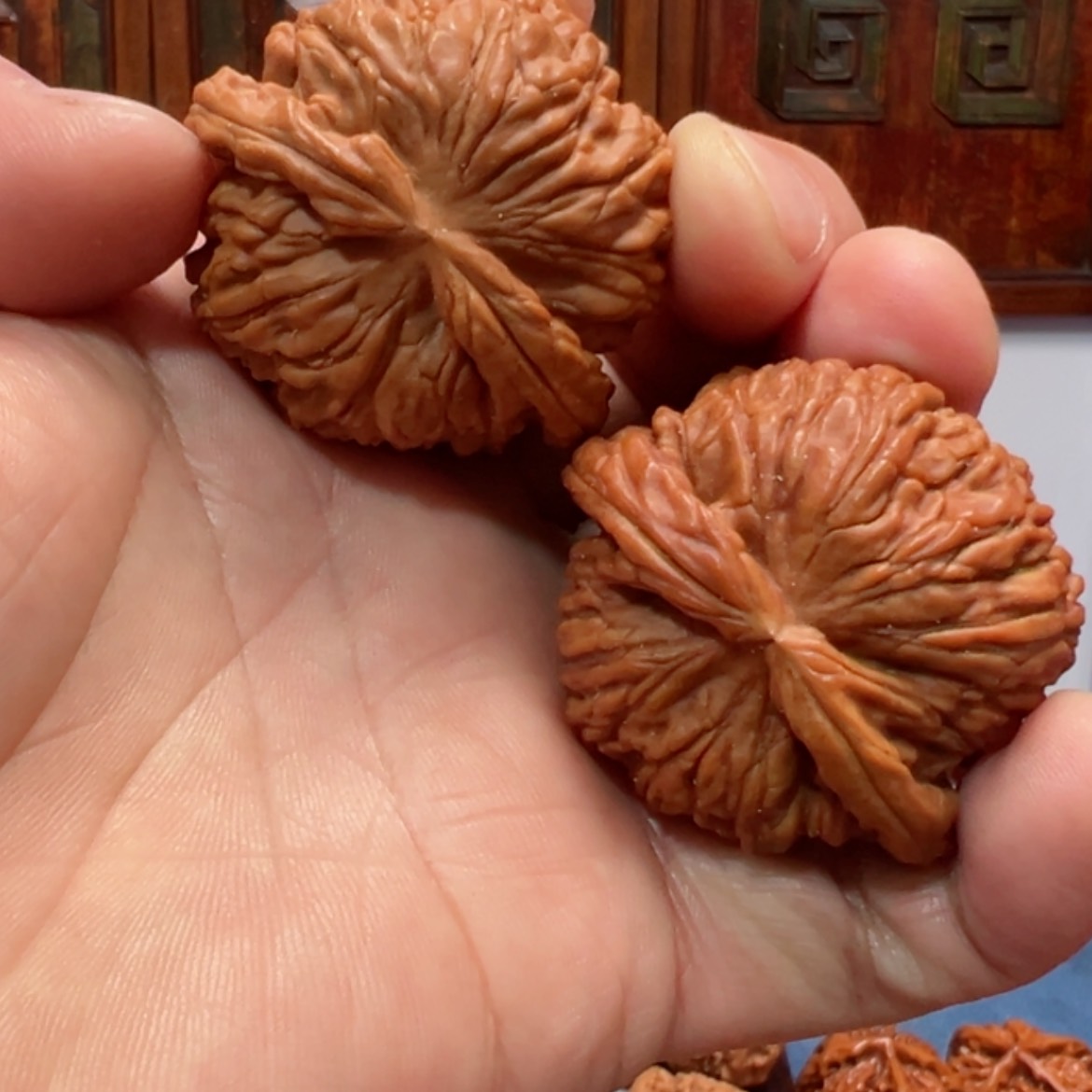 【闪购商品】文玩核桃把件白狮子46