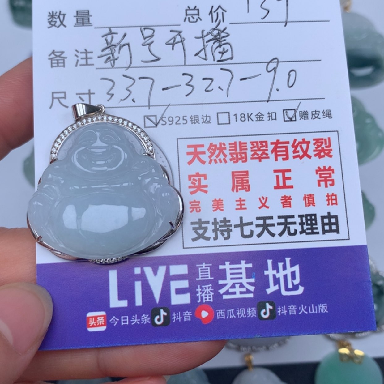 【闪购商品】翡翠颈饰未镶嵌
