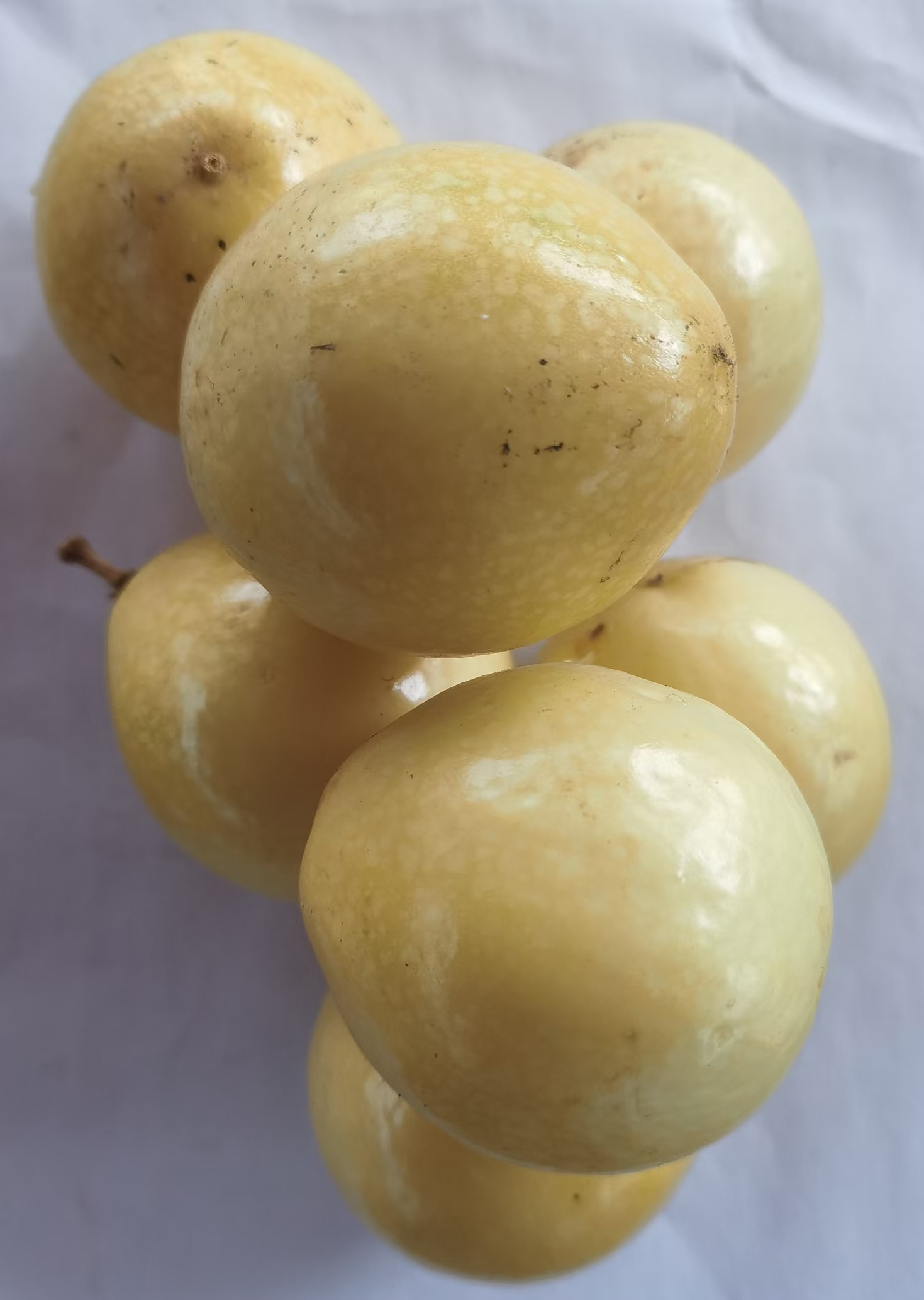 广东自种钦蜜9号黄金百香果鲜果3斤装