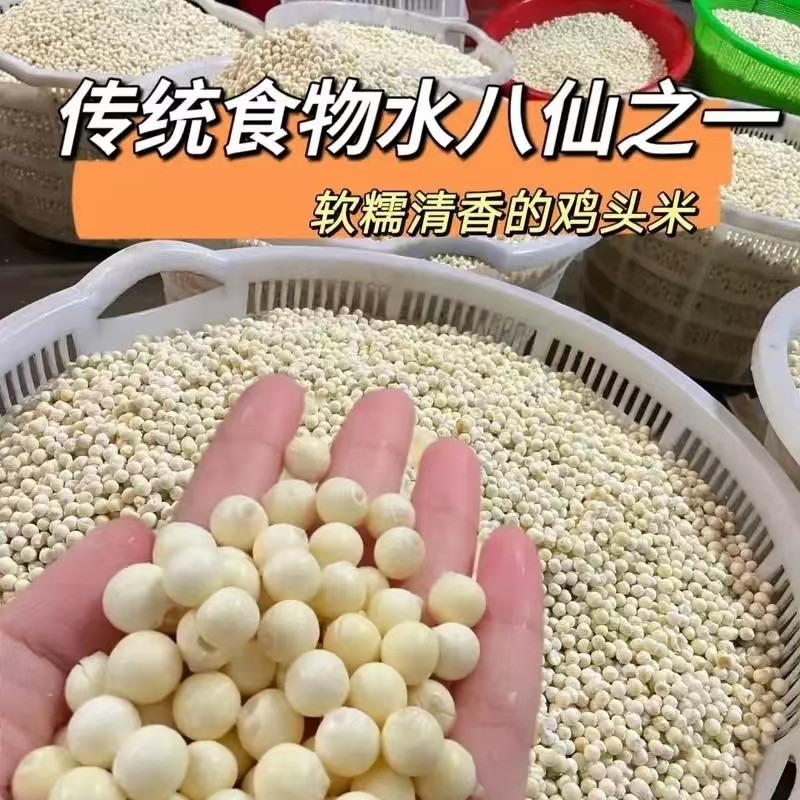农户大颗粒米芡实鸡头米无水分 宝应特产芡实