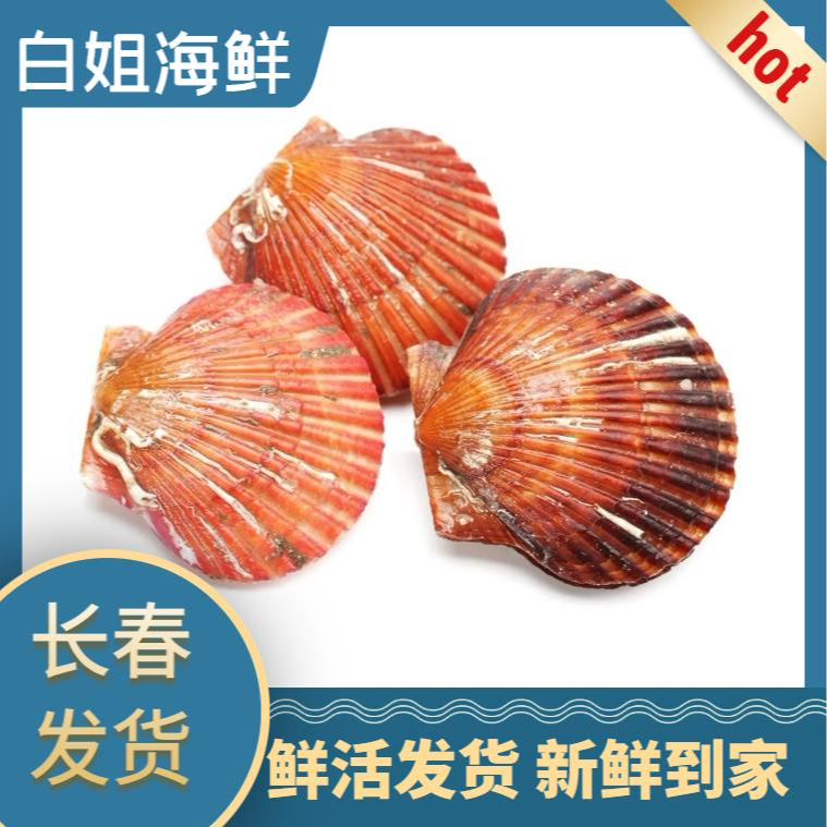 【白姐海鲜】小红贝2斤斤+海虹2斤