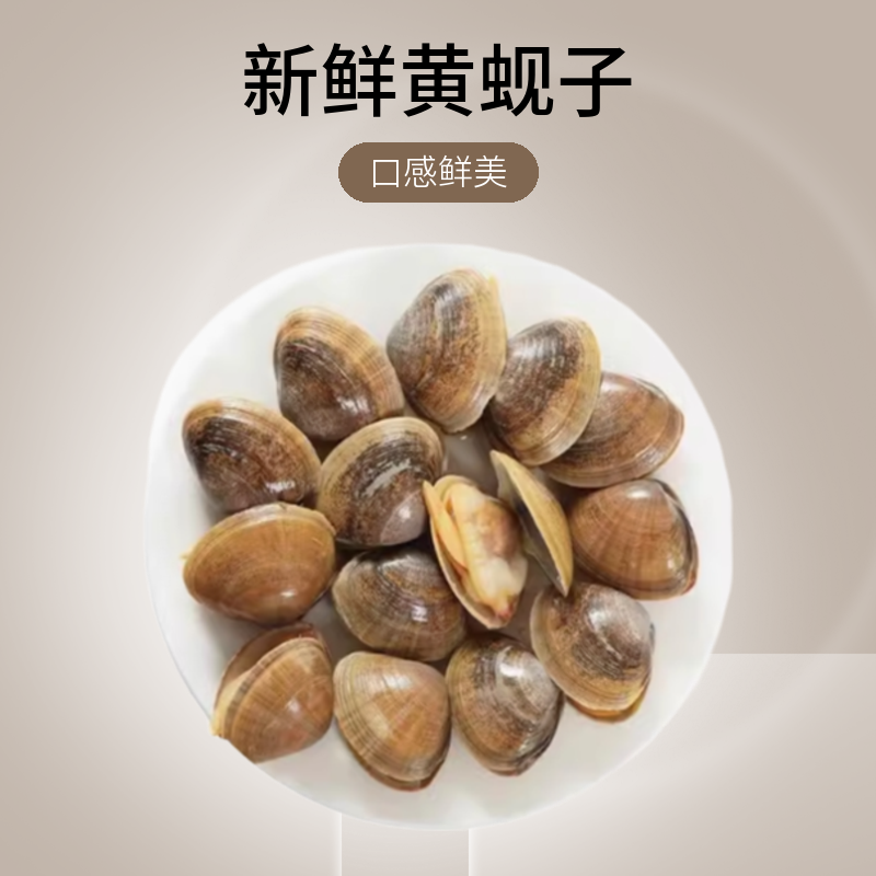 丹东黄蚬子500g