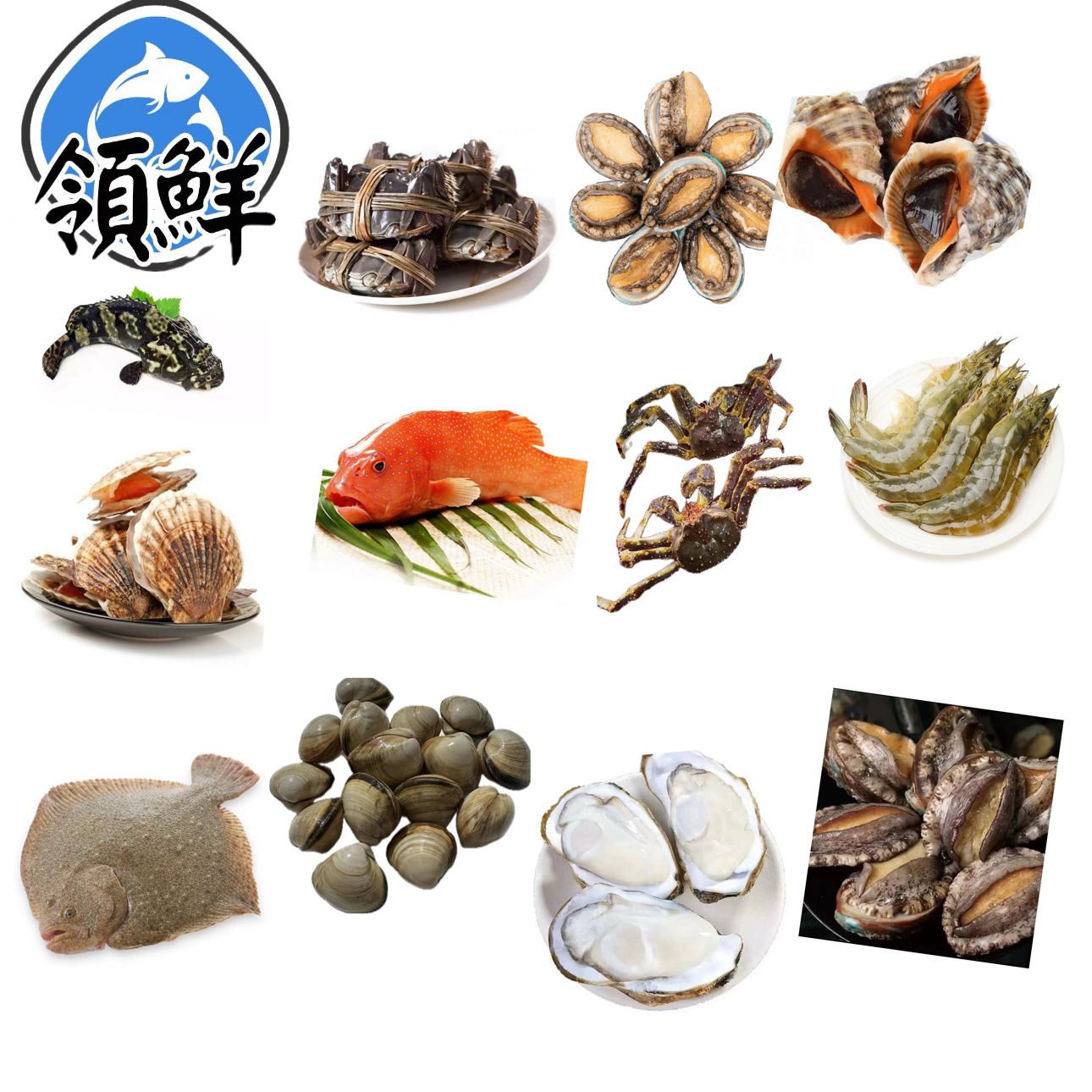 鲜活波龙大礼包 1268型