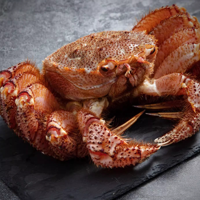 红毛蟹  深海蟹(大小可选)