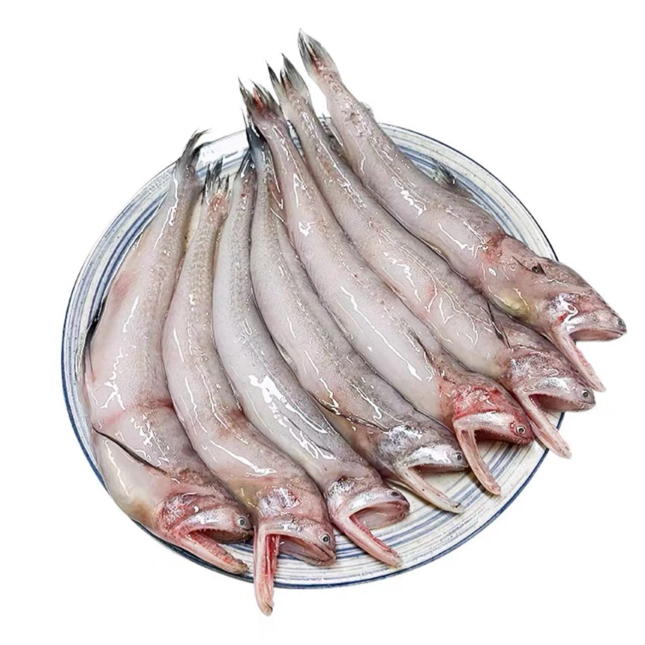 冰鲜豆腐鱼 新鲜龙头鱼一斤