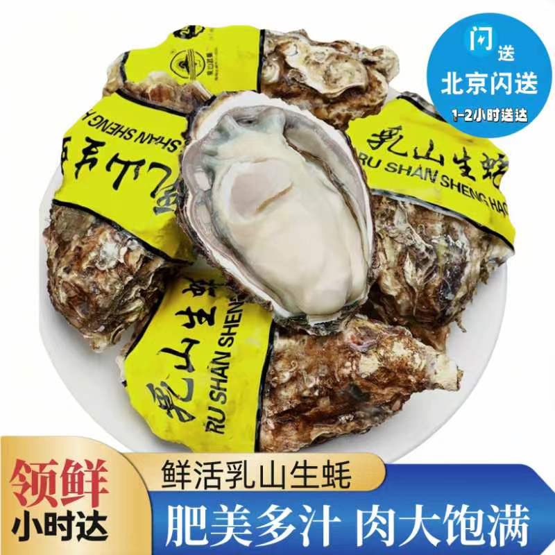 w鲜活乳山生蚝多规格可选