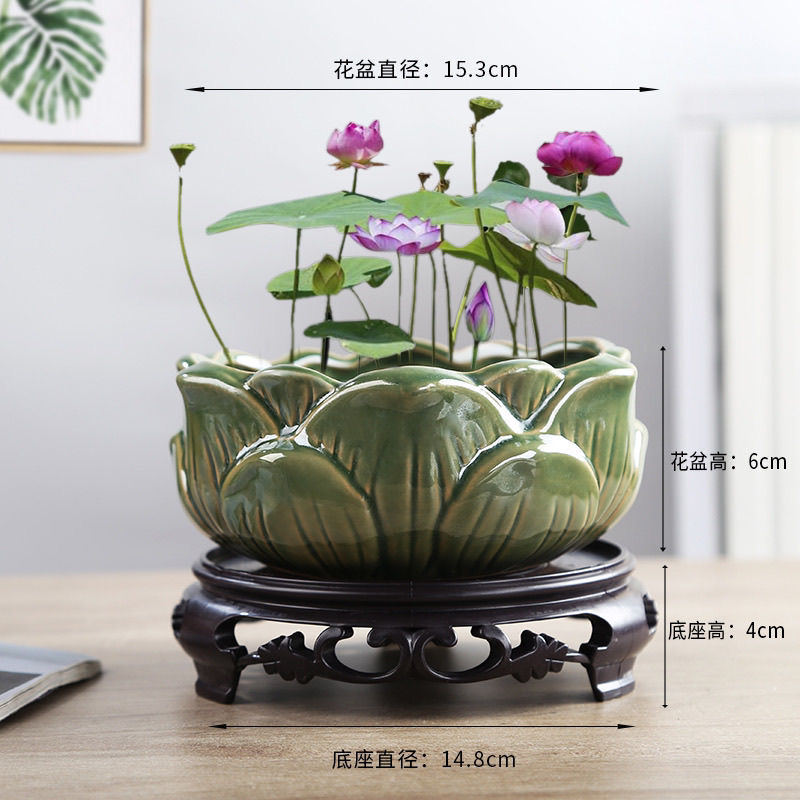 水培专用花盆陶瓷一叶莲碗莲金钱草睡莲水莲花巴西木多肉中花盆
