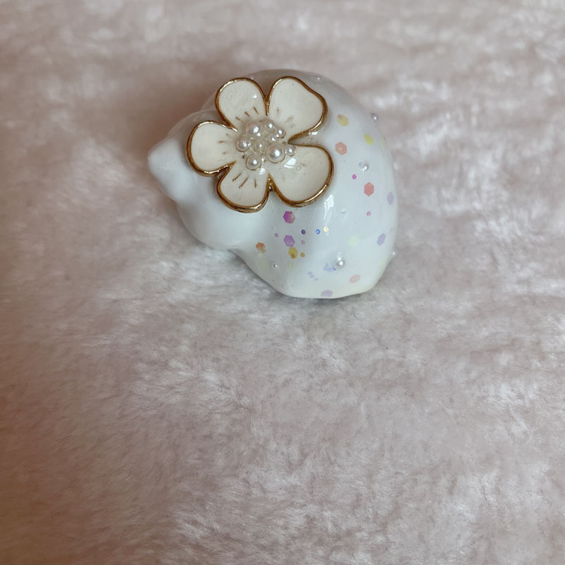 寄居蟹手工壳豆丁壳原创纯替换diy大小透明定制壳原生壳天然 海螺