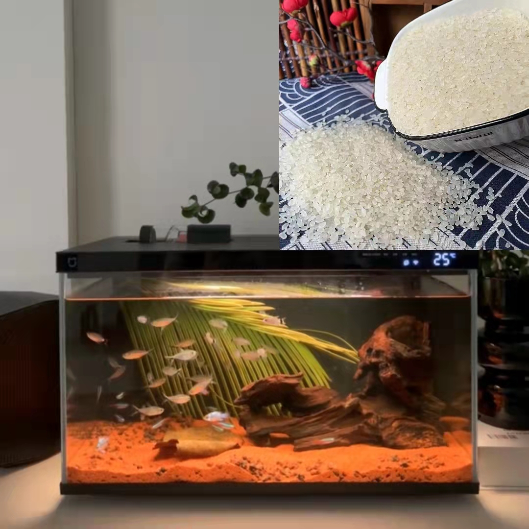 七 百 克 珍珠Mi有问题联系客服，鱼缸商家赞助