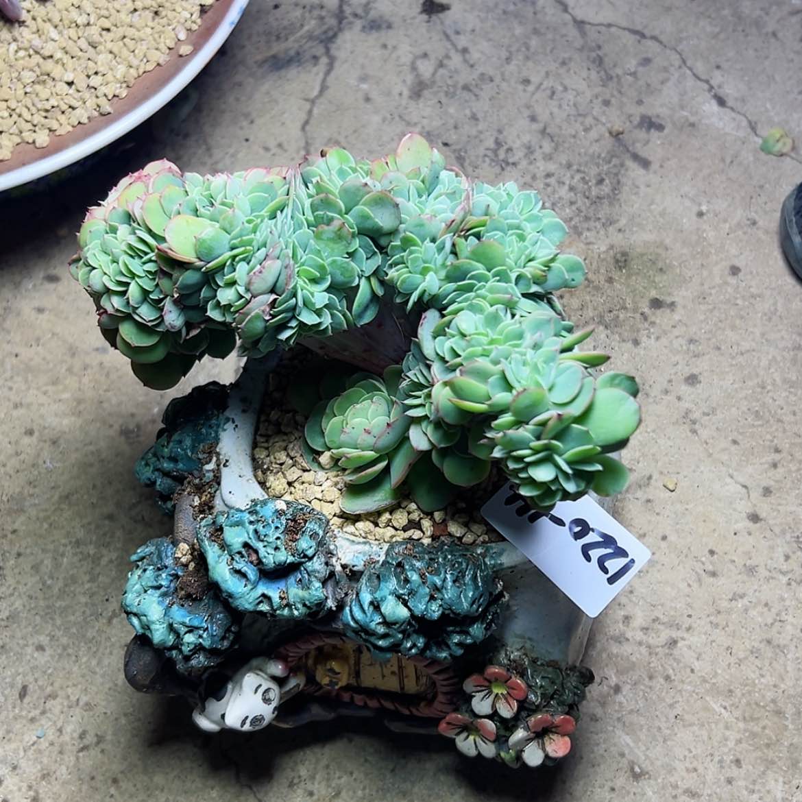 【闪购商品】@*沐1220-14克里斯汀裸根
