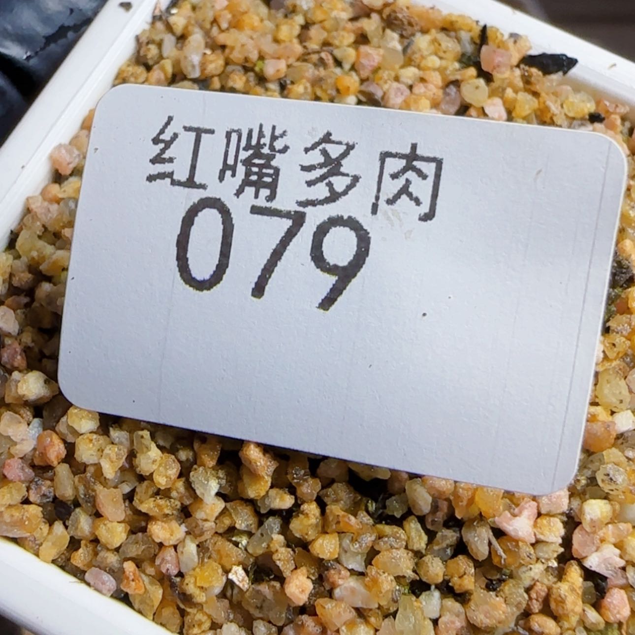 【闪购商品】匹*曹79号3头超墨
