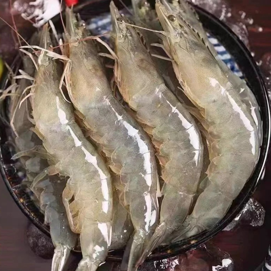园园海鲜 连云港发海洋大虾大号盒装18-20只/斤活体单冻3.5斤左右