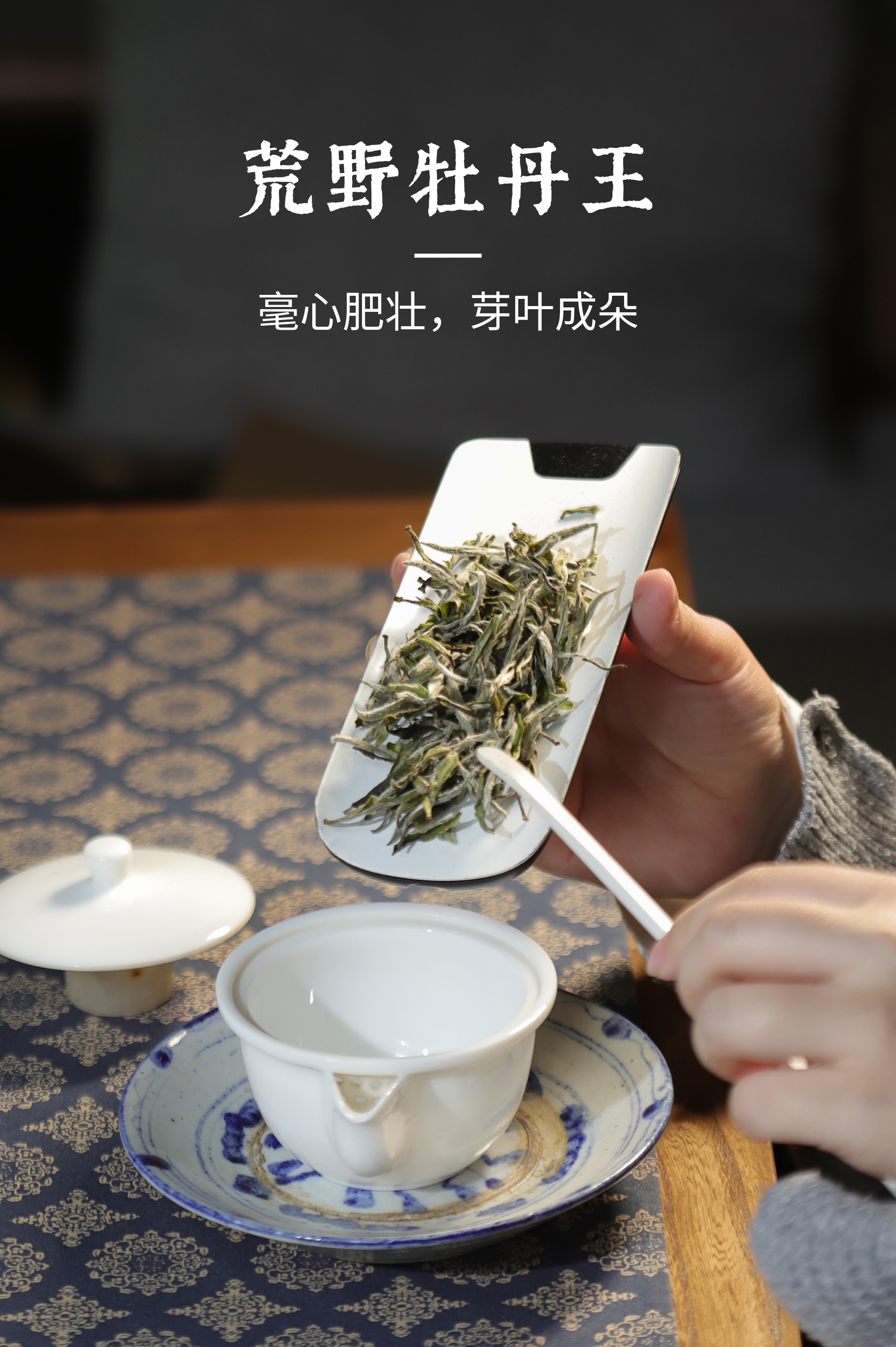 2024福鼎白茶【落雪】自家基地纯荒野牡丹王