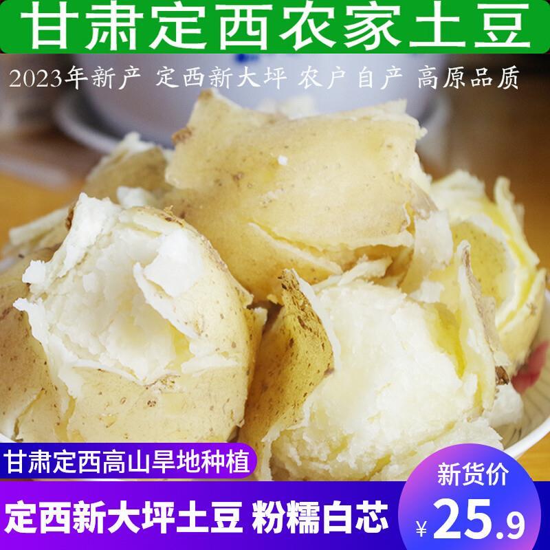 新鲜23年甘肃定西新大坪洋芋土豆农家自种沙面白芯沙面马铃薯5斤