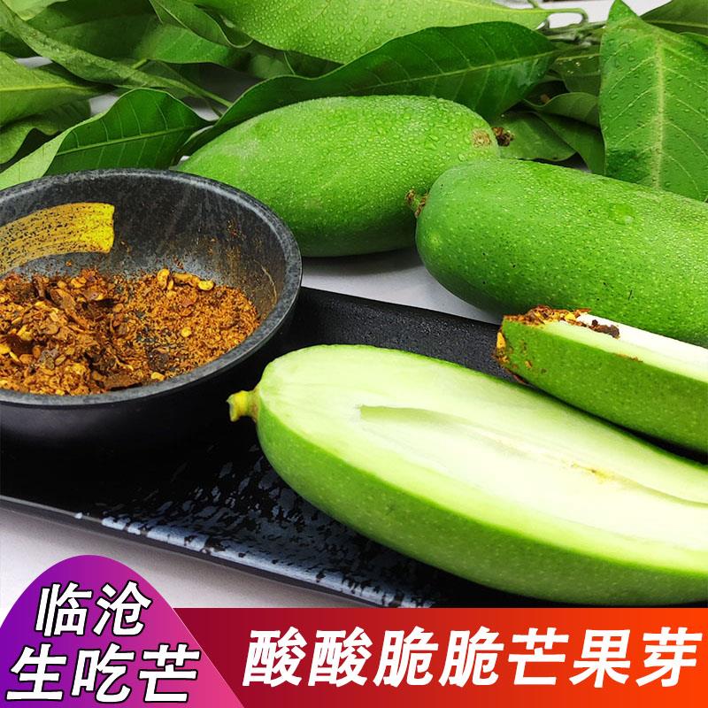 2023云南青芒果生吃酸脆茂名酸芒果新鲜象牙芒临沧芒果芽酸芒果