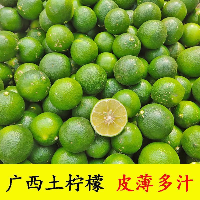 广西土柠檬新鲜本地野生薄皮多汁青柠檬小柠檬可腌制咸柠檬