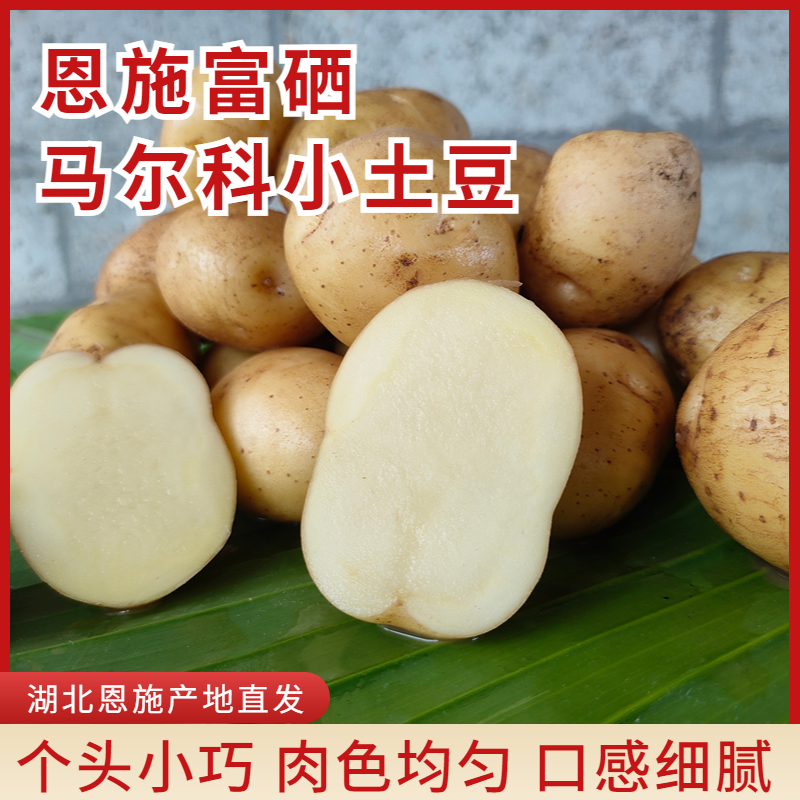 湖北恩施富硒马尔科小土豆5斤包邮产地直发口感细腻淀粉丰富充足