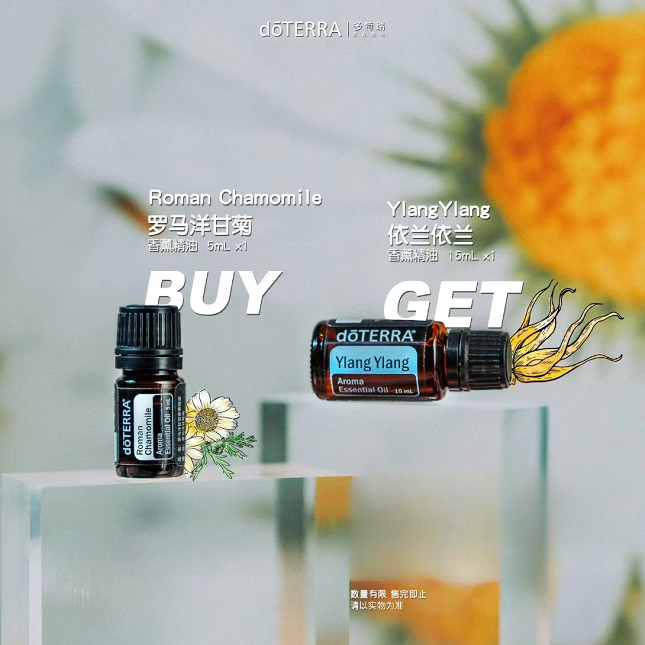 doTERRA多特瑞买罗马洋甘菊送依兰依兰精油官网正品呵护滋养