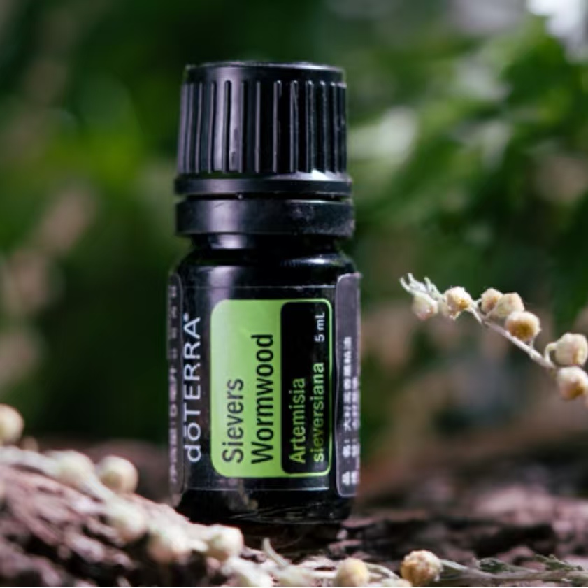 doTERRA多特瑞大籽蒿精油官网正品呵护肌肤平衡情绪滋养修护