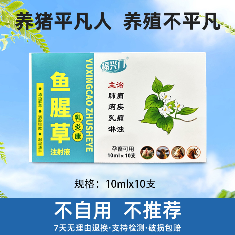 养殖场专用产后鱼腥草注射猪牛羊用于清热解毒产后消炎鱼腥草