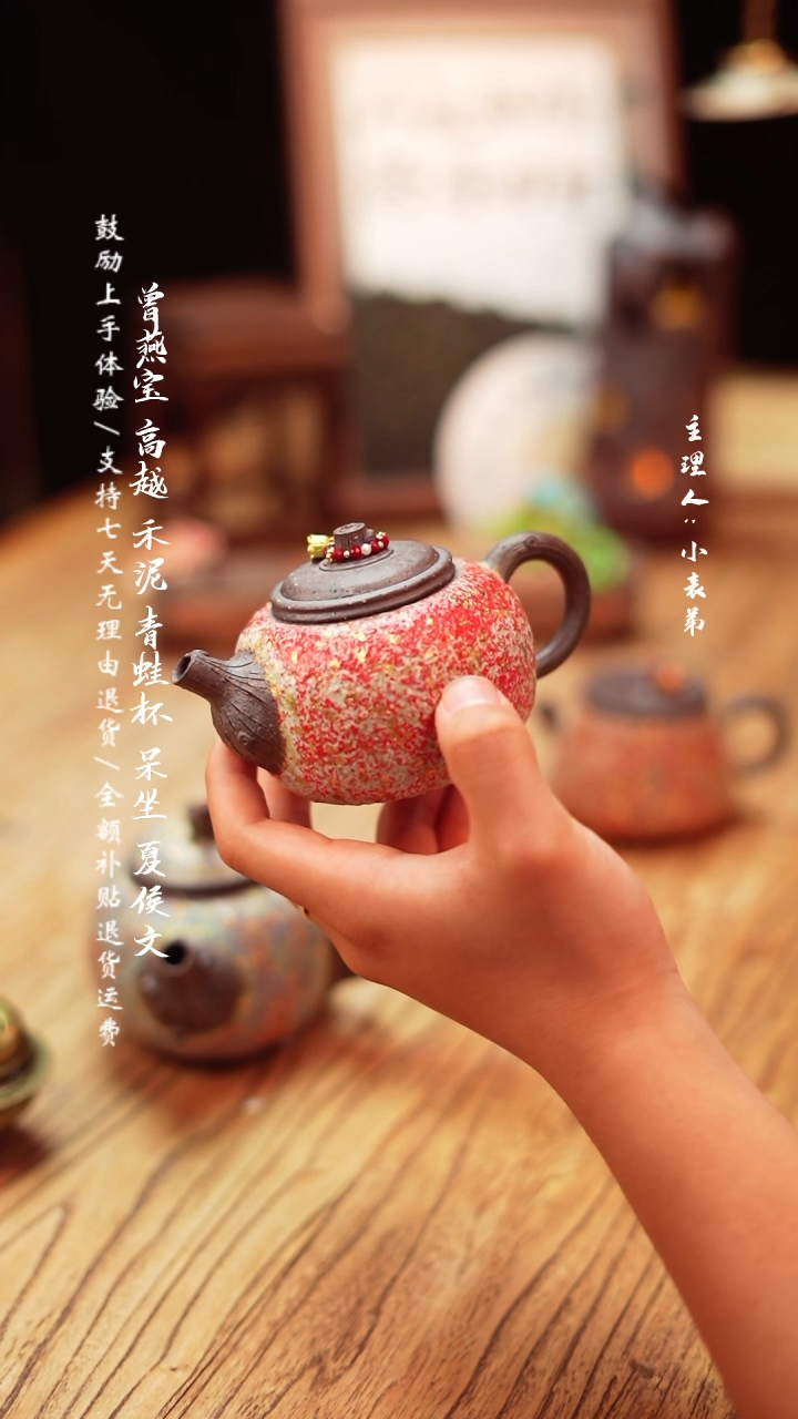 【闪购商品】杯高越-岩矿主人壶