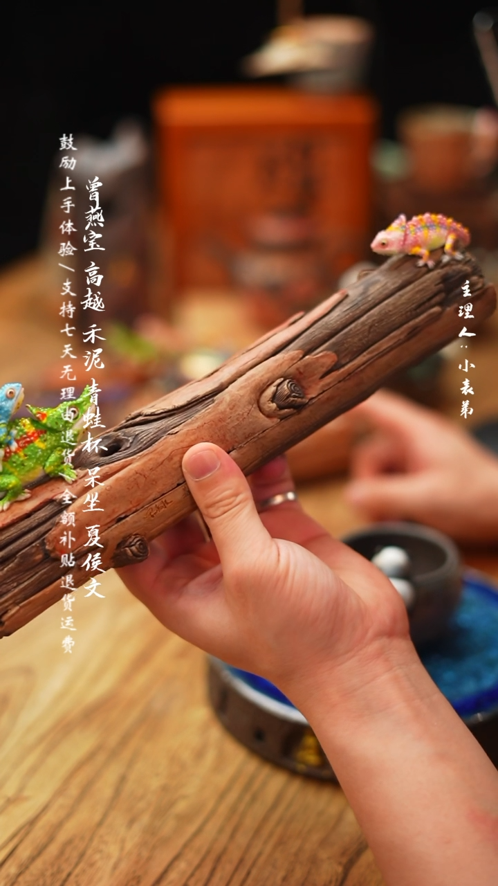 【闪购商品】杯慕陶-变色龙木头香插3只