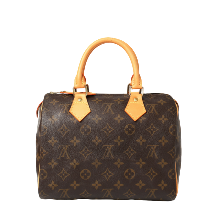 99新 LouisVuitton/路易威登 菜菜 LV speedy25 枕头包植鞣革换新