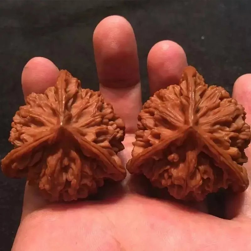 文玩核桃树苗 三棱狮子头核桃树苗 麻核桃树苗 基地直销当年结果
