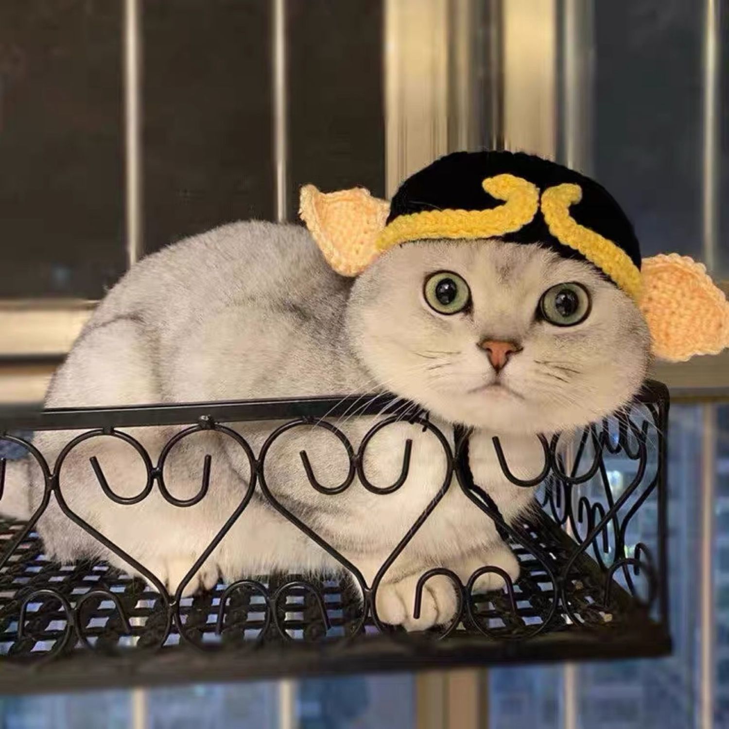 猪八戒猫咪头套可爱宠物毛线帽子变装帽搞怪狗狗头饰比熊泰迪装饰