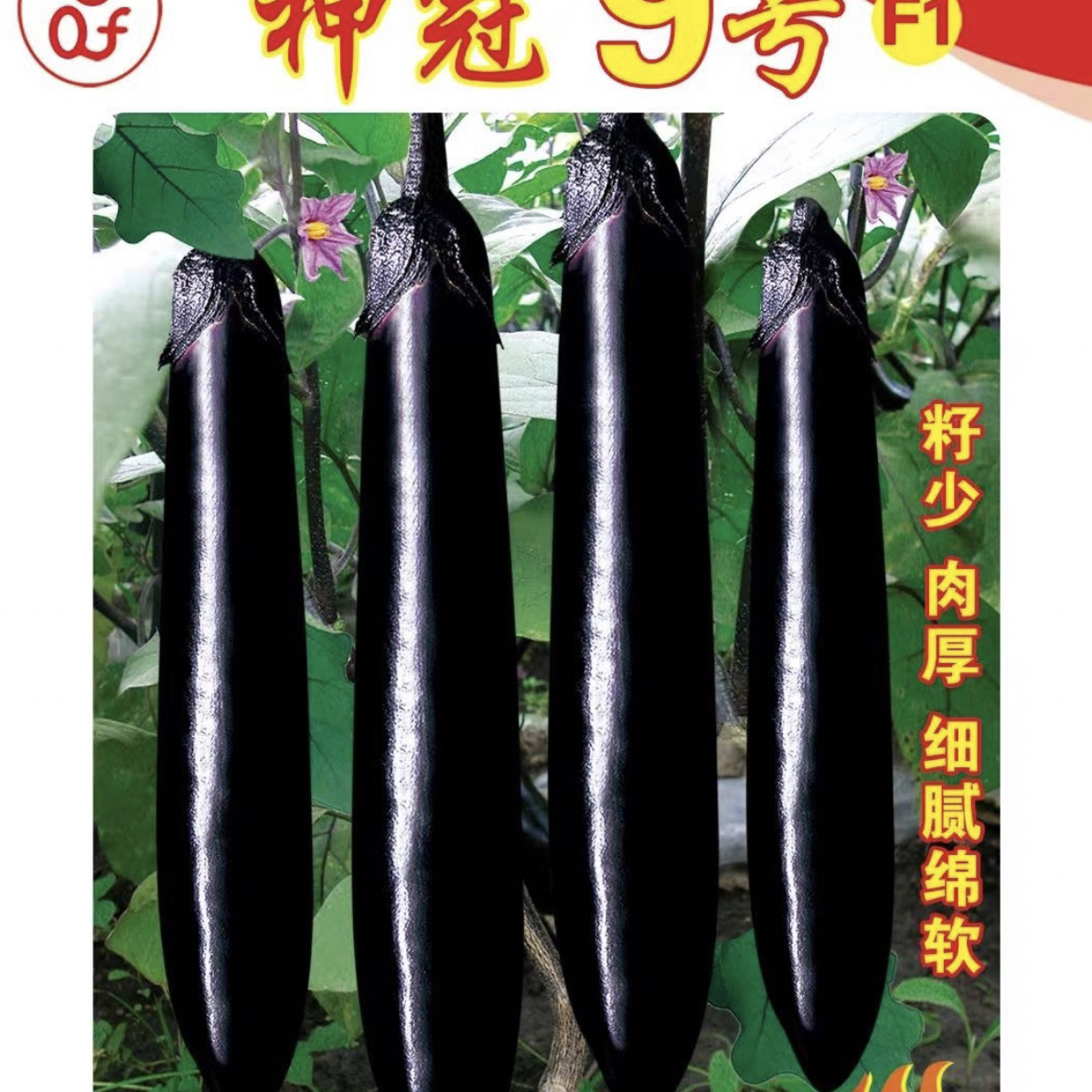 神冠9号茄子种子