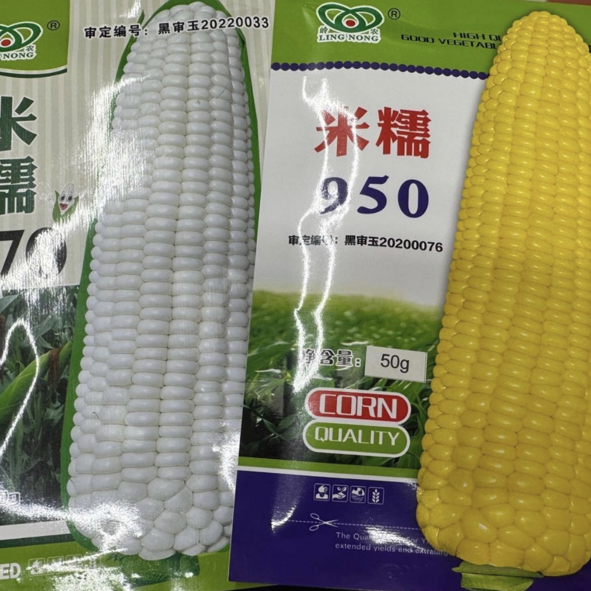 米糯950+米糯870黏玉米种子