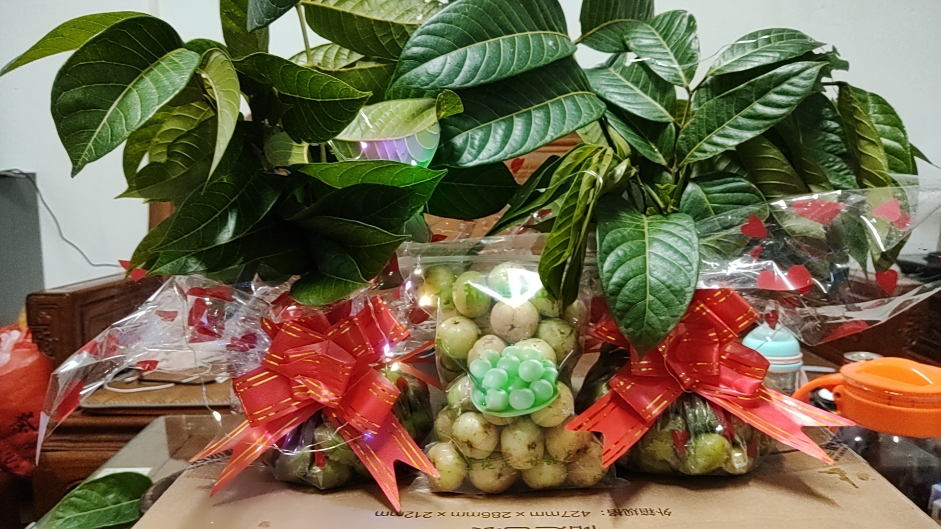 金灶青枣脆橄榄花中秋赏月，十五前能收到，叶子可以封袋放保鲜
