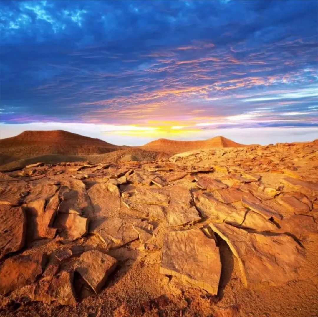 新疆天然奇石1号链接