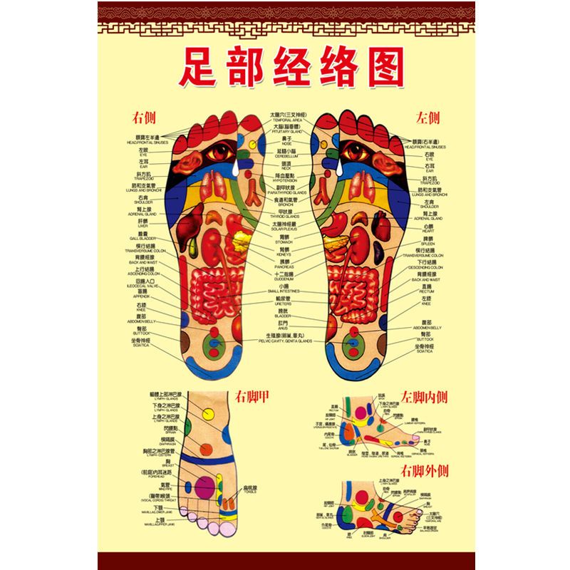 脚部穴位图挂图足浴店装饰画标准脚底穴位图足部经络按摩图解墙贴