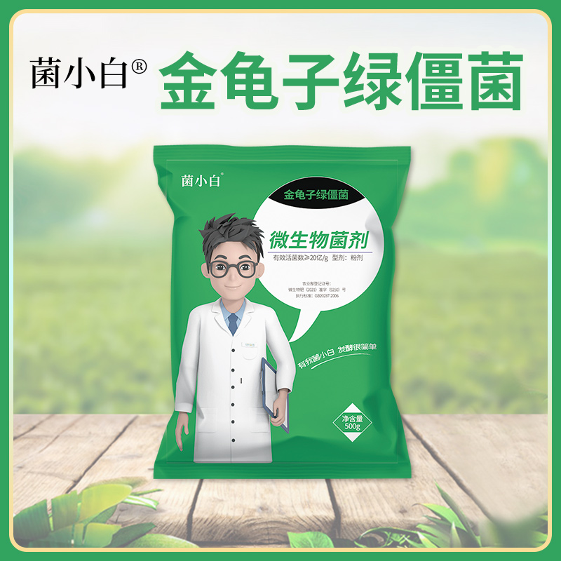 中向菌小白金龟子绿僵菌微生物菌剂菌肥