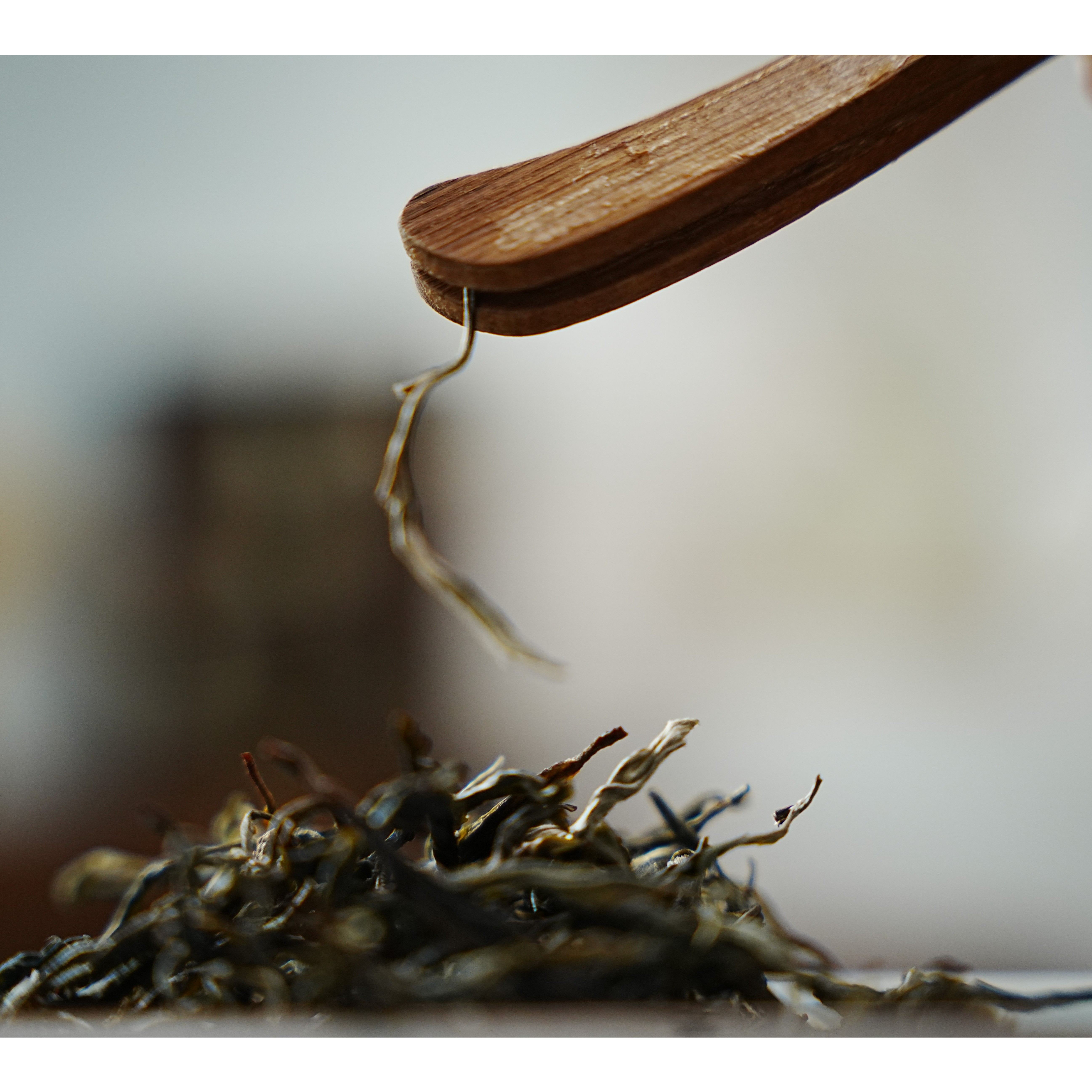 一单 抢 链接福利大礼包春茶云南普洱生茶熟茶好茶包邮 放漏中！！